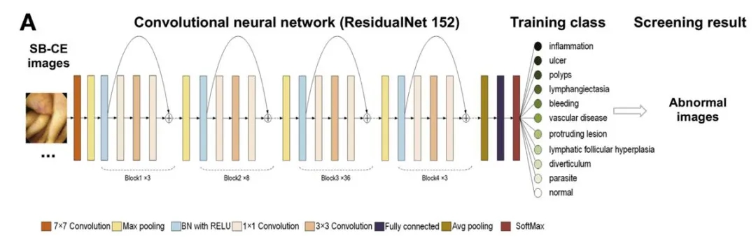 配图8.webp.jpg